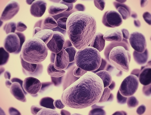 Assoc Prof Alison Brand AM speaks to ABC Radio about a recent New England Journal of Medicine paper