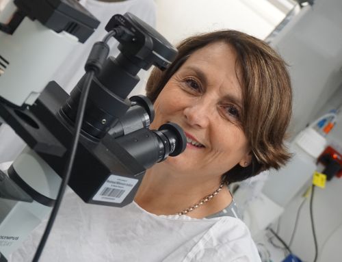 ANZGOG Member, Professor Anna De Fazio-Poidevin awarded Member of the Order of Australia on Australia Day