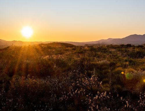 The Larapinta Trek team raises over $75,000 for gynaecological cancer research