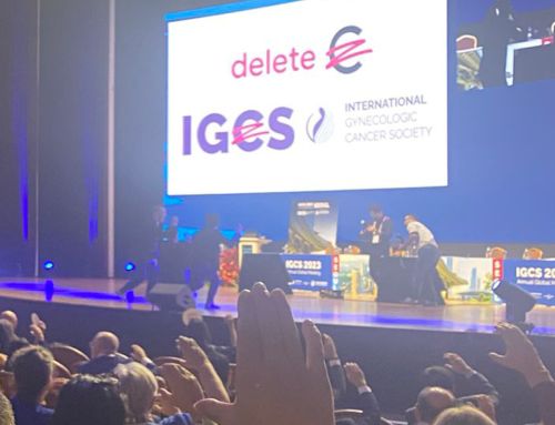 Highlights from IGCS 2023